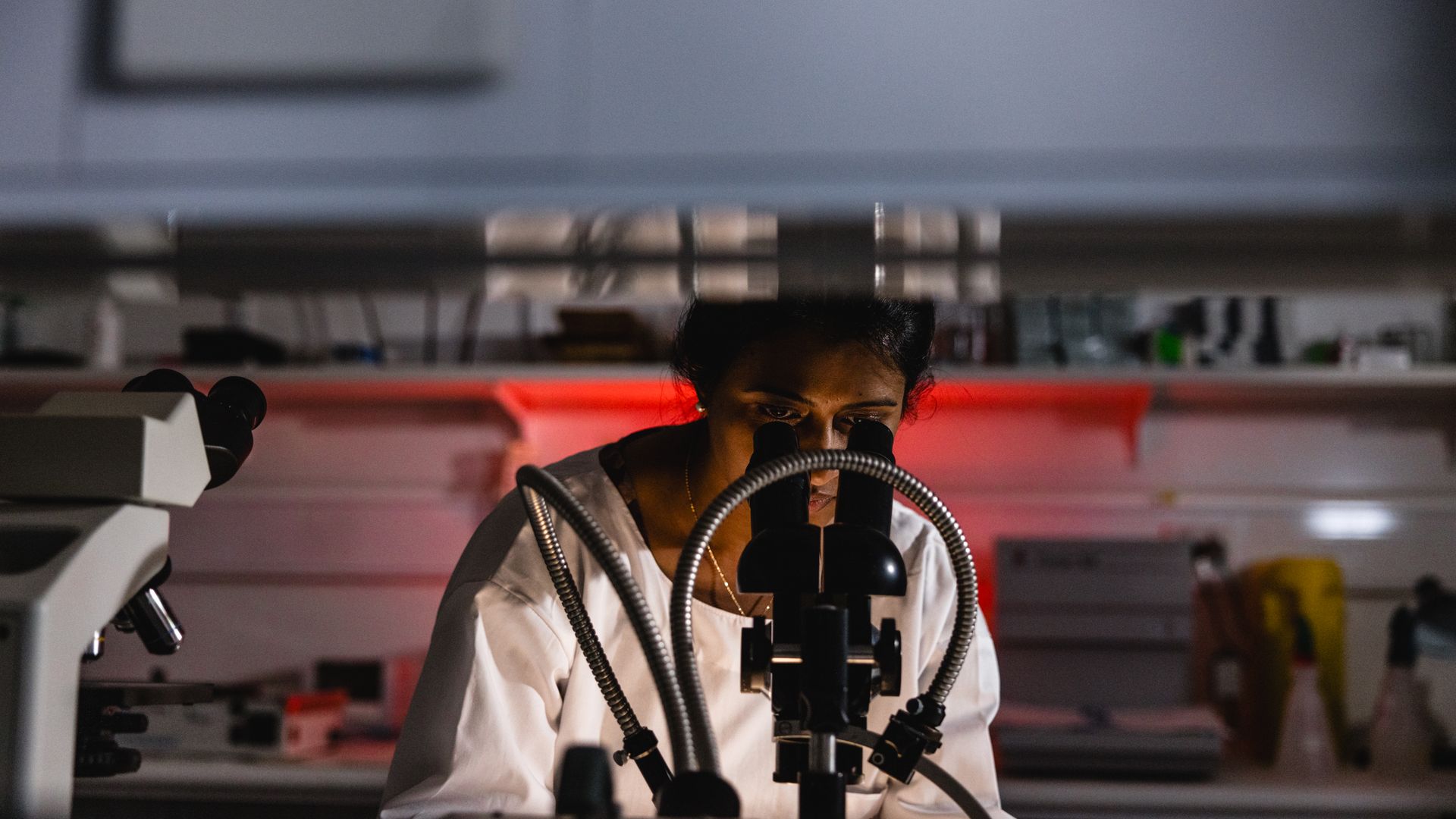A female scientist stares down a microscope