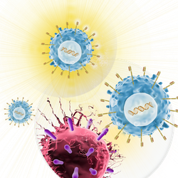 CAR T-Cells attack a cancer cell.