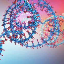 A representation of DNA