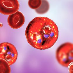 Cells floating in purple plasma void