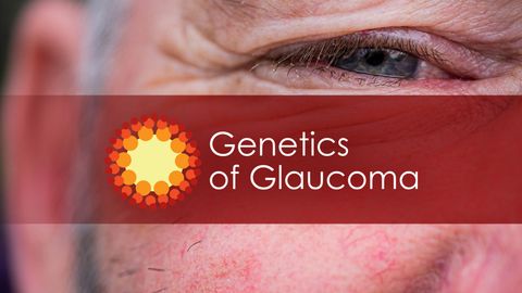Genetics of Glaucoma logo in front of an elderly man's eye