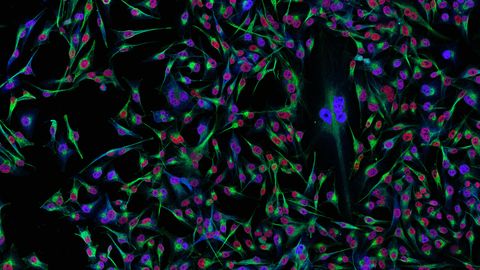 Our fields of research