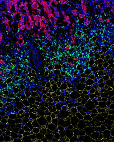 Spatial Technologies