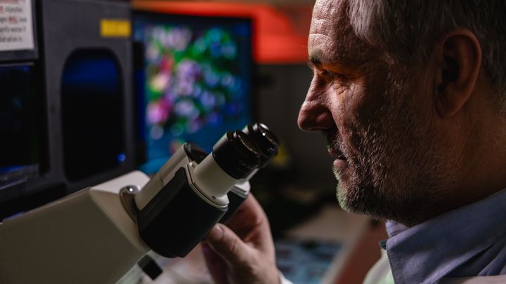 A scientist looks down a microscope - commercial collaborations