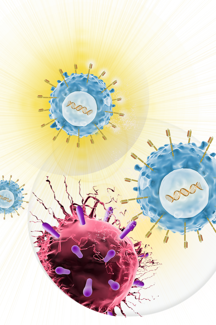 CAR T-Cells attack a cancer cell.