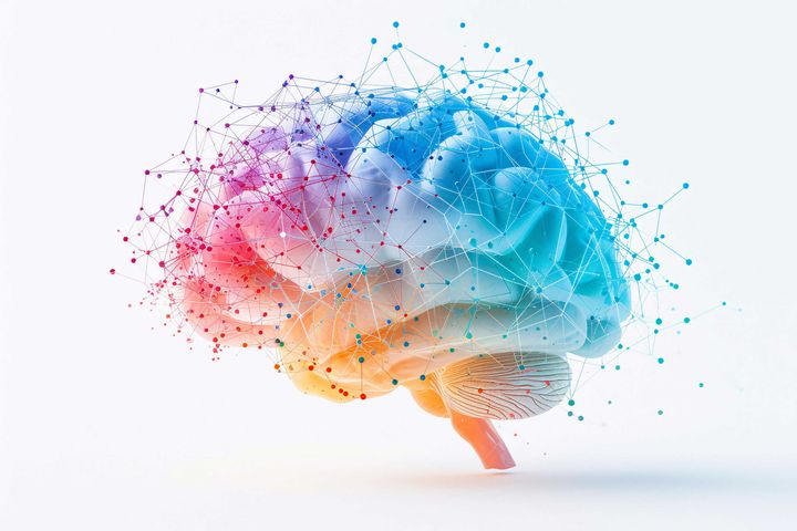 A colourful brain and connections