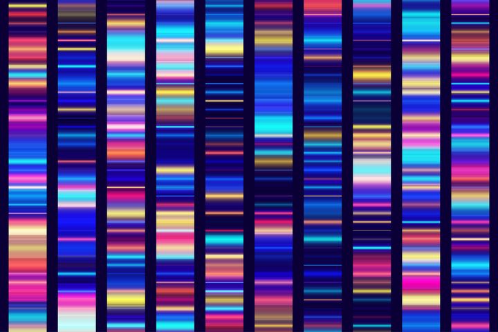 DNA sequencing genetic screening test strip