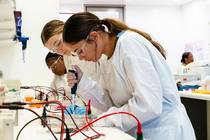STEM students in a lab
