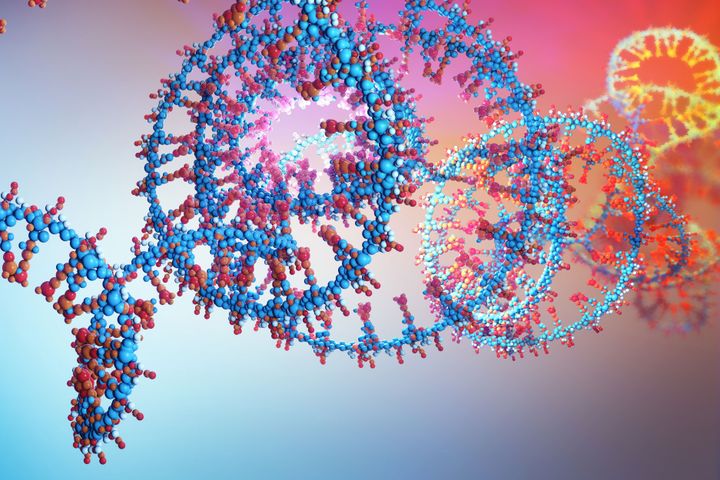 A representation of DNA