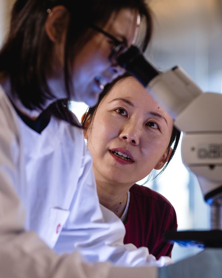 A female scientist stares down a microscope