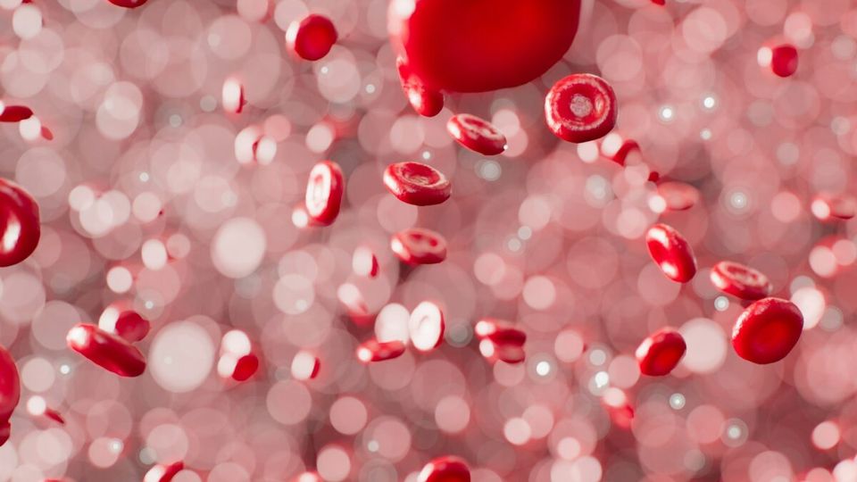 Launch of world first patient registry for Australia’s most common genetic disorder