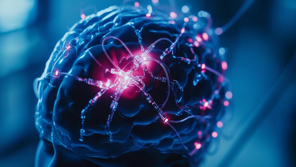 World’s largest study of brain volume reveals genetic links to ADHD, Parkinson’s Disease