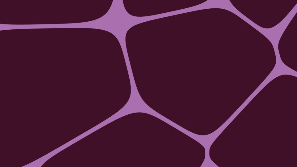 Liver hormone the subject of Premier’s Award for Medical Research